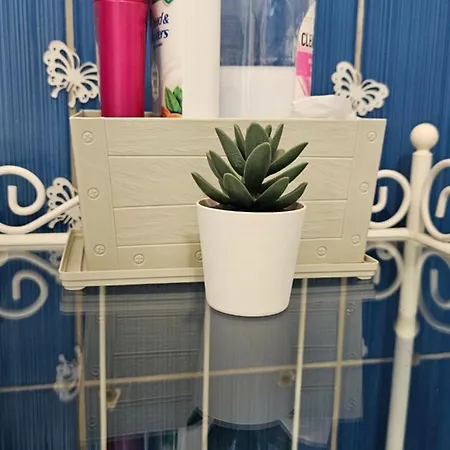 Kuca Veneto & Free Parking *