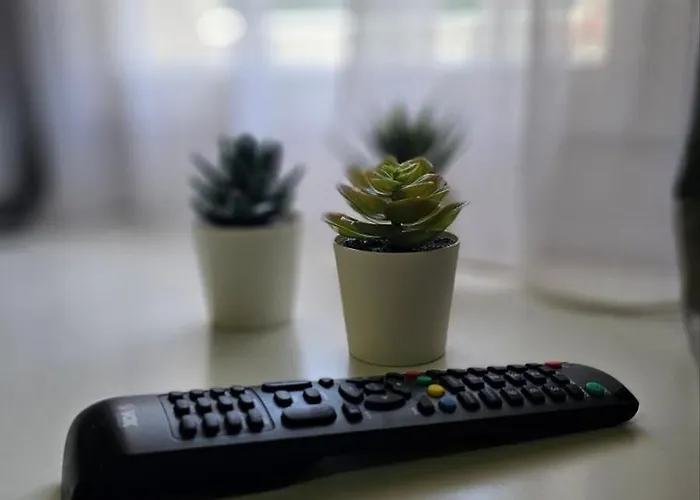 Kuca Veneto & Free Parking