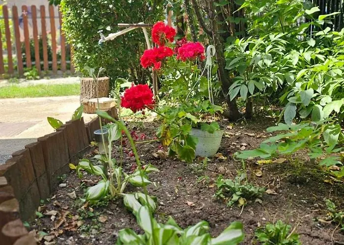 Kuca Veneto & Free Parking Vikendica *